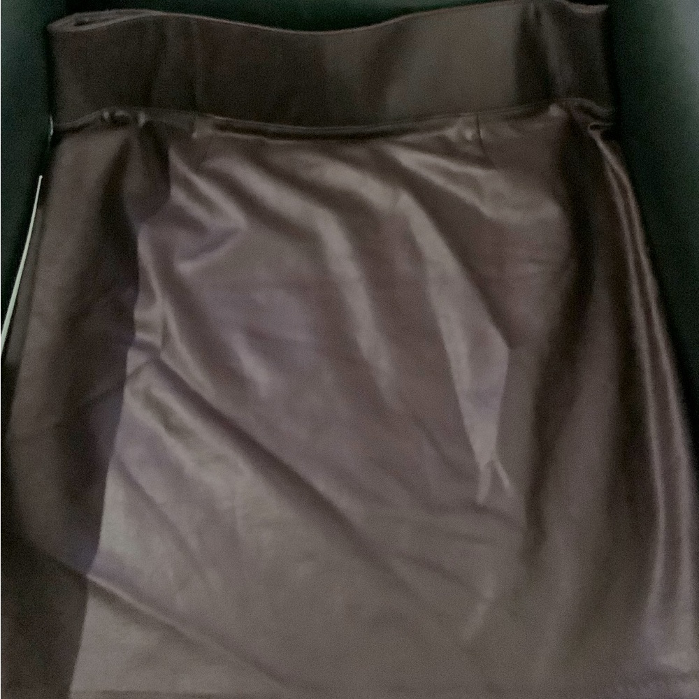 Burgundy (pleather-ish) skirt